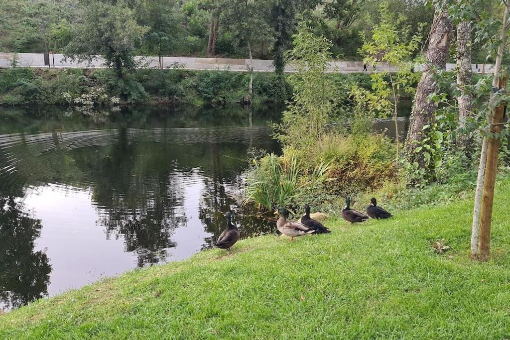 Nature E Spa Al - Termas Saude E Beleza, Totalmente Renovado - Piscinas Municipais Em Frente - Epoca Julho A Setembro Сан-Педру-ду-Сул Экстерьер фото